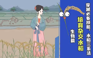穿越必备技能水稻三系法，培育杂交水稻。